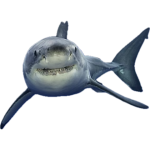 1758238430574.png