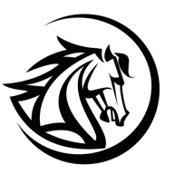 stallionmotorsusa