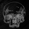OldBones