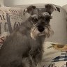 vladytom
