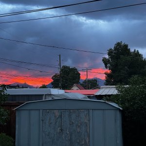 IMG_6383.jpeg