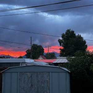 IMG_6382.jpeg