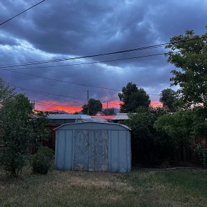 IMG_6381.jpeg
