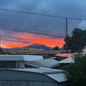 IMG_6380.jpeg