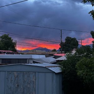 IMG_6379.jpeg