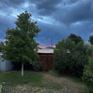 IMG_6376.jpeg