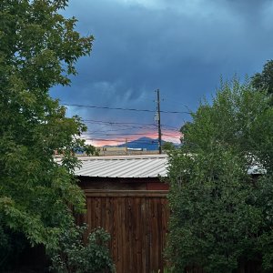 IMG_6375.jpeg