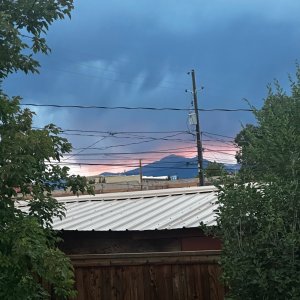 IMG_6374.jpeg
