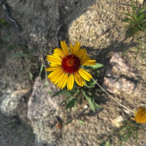 IMG_6282.jpeg