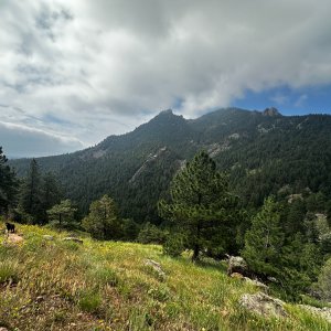 IMG_6172.jpeg