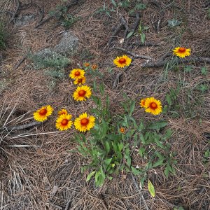 IMG_6167.jpeg