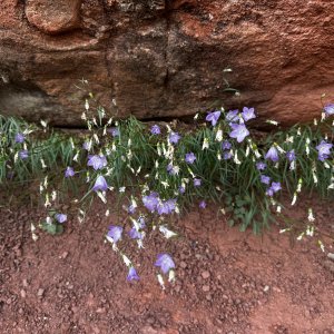 IMG_6166.jpeg