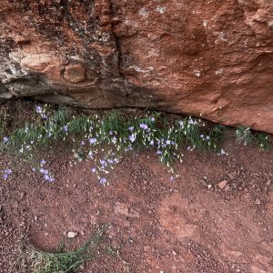 IMG_6165.jpeg
