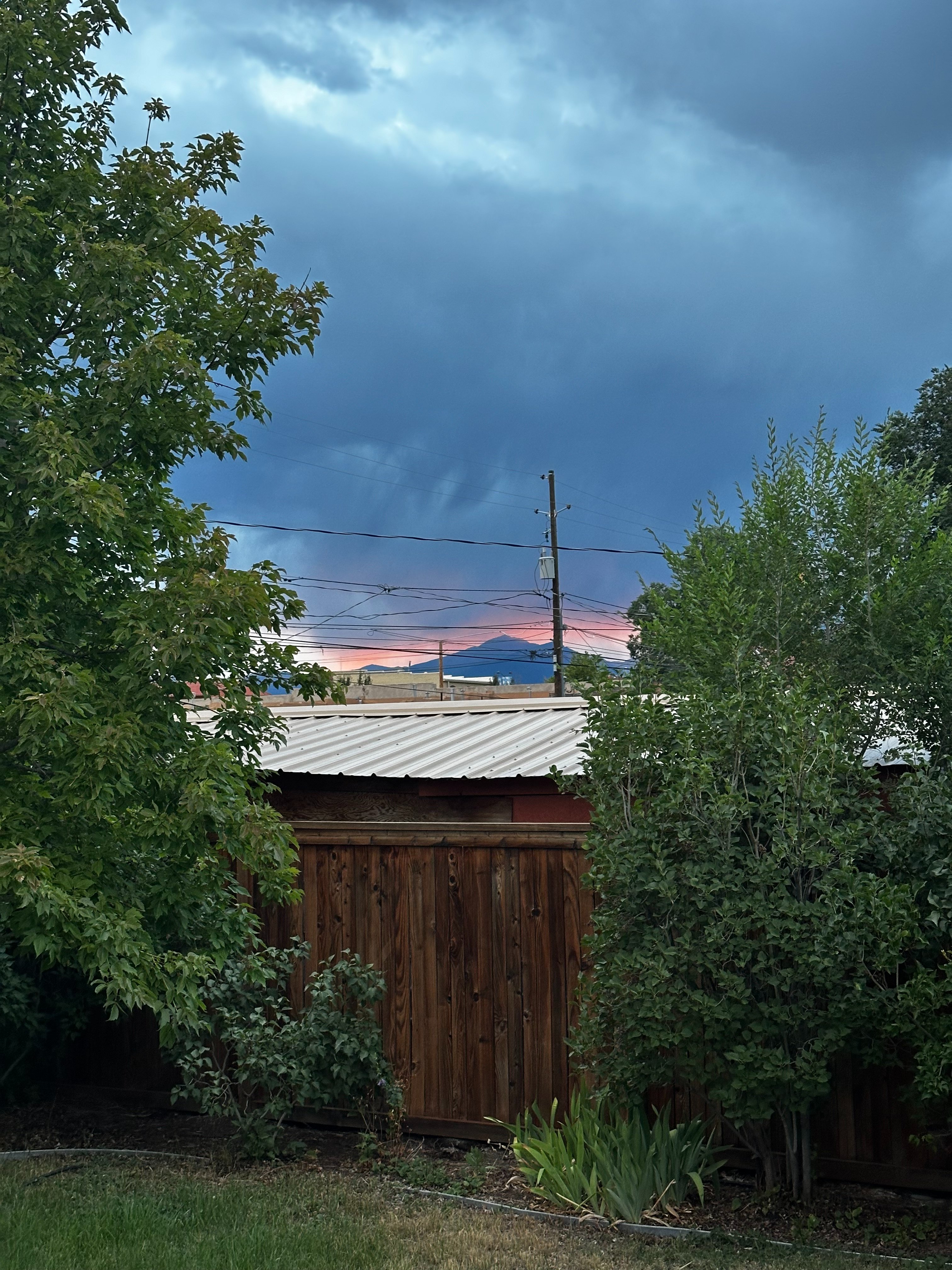 IMG_6375.jpeg