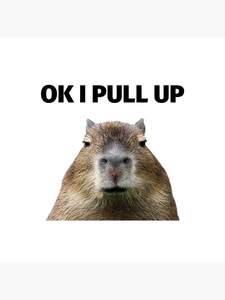 Capybara Meme - Ok I Pull Up Poster for Sale by SimpleUniverse ...