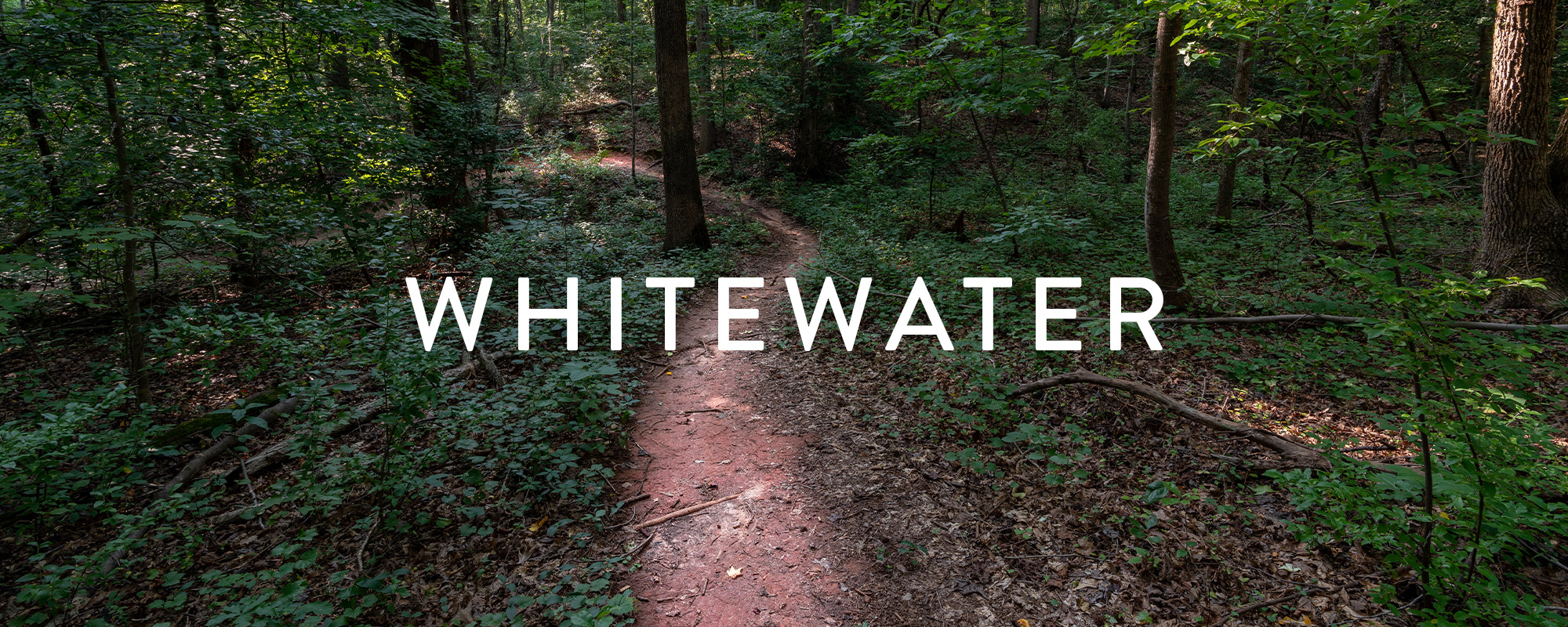 whitewater.org