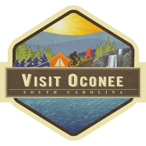 visitoconeesc.com